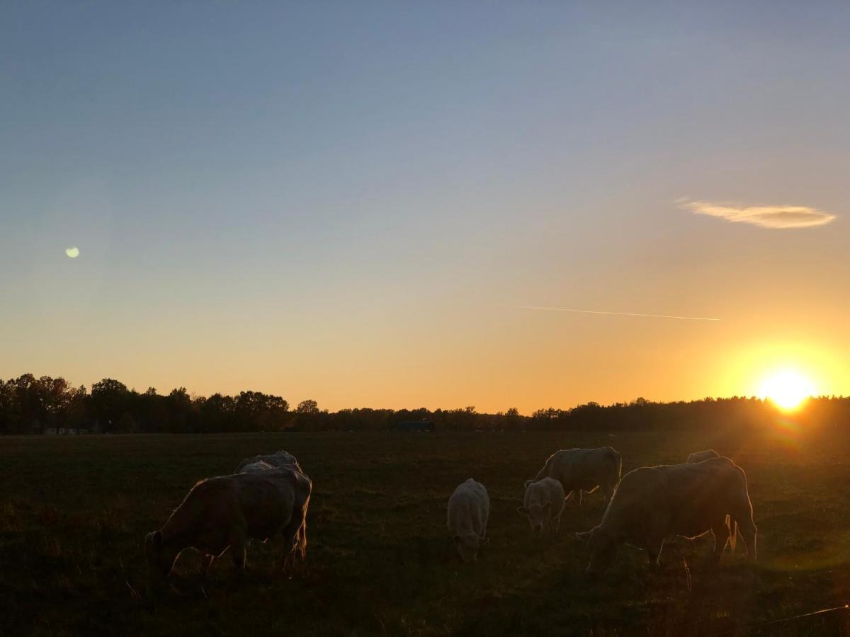 Safar Residence Hrachoviste Eksteriør bilde